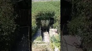Секретные катакомбы в Сочи #домвсочи @domvsochi #shorts