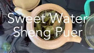 Tian Shui (Sweet Water) Sheng Puer - A Traditional Style Old Growth Puer