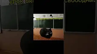 Ученик напал на учителя 😱 #рекомендации #глобальныерекомендации #cat #видео #мем #смешно #мемныекоты