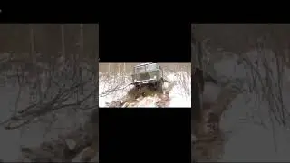 шишига в деле 