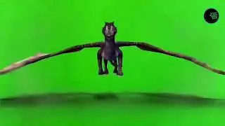 Copyright free Green Screen Effect #green #greenscreenvideo #animation #greenscreeneffects