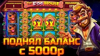 ПОДНЯЛ БАЛАНС С 5000р В THE DOG HOUSE MEGAWAYS!!! ЗАКРЫЛ ПОЛЯНУ СИНИХ СОБАК!!!
