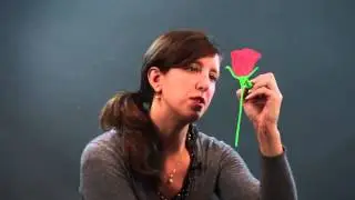 How to Draw a Rose With a Stem That Looks Realistic