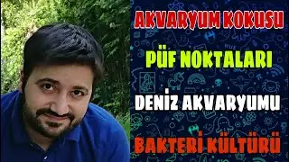 AKVARYUM İLK KURULUM ve PÜF NOKTALARI - DENİZ AKVARYUMU YATIRIMI - DIŞ FİLTRE MALZEMELERİ
