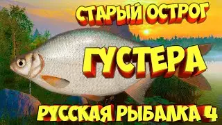 русская рыбалка 4 - Густера озеро Старый Острог - рр4 фарм Алексей Майоров russian fishing 4