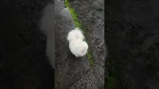 Доброе дождливое утро!