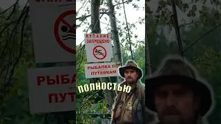 Почему в Свердловской области запретили рыбалку ???