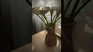 Артикул wb: 218900904 