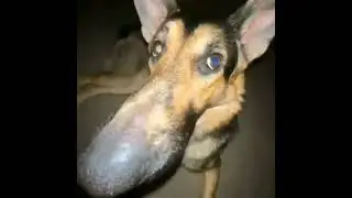 3 i4ZI3L2Gl6ph5d