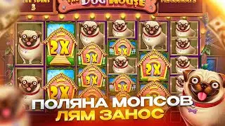 ТАКОГО Я ЕЩЁ НЕ ЛОВИЛ!!! ФУЛЛ ПОЛЯНА МОПСОВ ЗА 1.000.000 РУБЛЕЙ!!! THE DOG HOUSE MEGAWAYS ЗАНОСИЩЕ!!