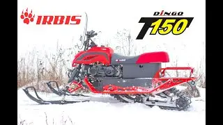 Снегоход IRBIS DINGO T150 пятого поколения, 2021 года выпуска!