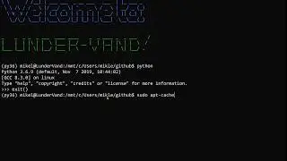 Upgrading Python 3.6 to 3.8 on Ubuntu (on WSL 2)