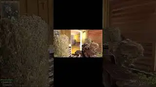 Best MW3 Kill Streak! (2022)