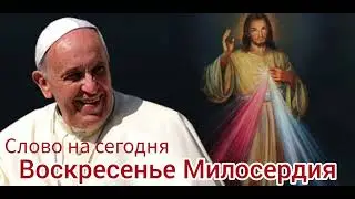 Воскресенье Милосердия. Проповедь Папы Франциска.
