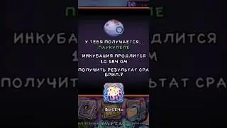Вывел ПАУКУЛЕЛЕ 