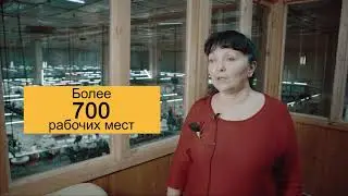 VIVATEKS