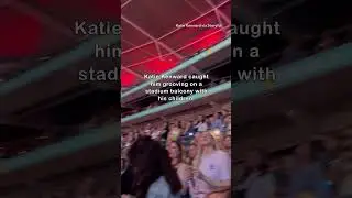Prince William Dances to Shake It Off at Taylor Swift Tour Stop in London