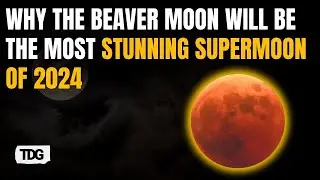 Beaver Moon 2024: The Last Supermoon of 2024 Shines on November 15