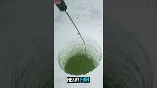 Big fish on tiny ice fishing rod! 