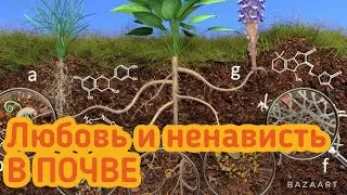 Сколько ЛИТЬ в граммах БИОПРЕПАРАТОВ!