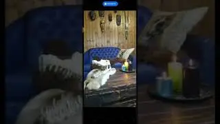 Бездетной ведьминой посылке мой ответ.