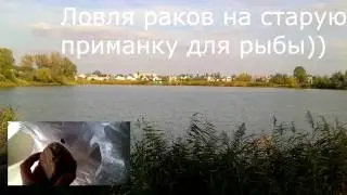 Ловля раков на раколовку в качестве приманки,прикормка для рыбы)