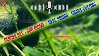 Gerçek Çim Biçme Sesi | Elektrikli Misinalı Makine ile Doğal Bir An 🎧🌿