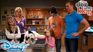 5 Nostalgic Moments | Dog With A Blog | Disney Channel UK