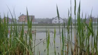 Рыбалка на карася