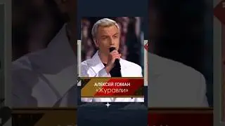 Алексей Гоман 