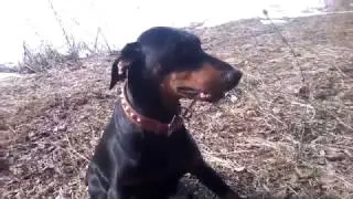 ВЕСНА ПОГОДКА УДАЛАСЬ