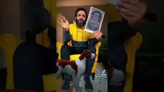 Сожжение Корана в Швеции не получится 