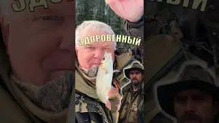 Здоровенный язь, что это за рыба такая ?
