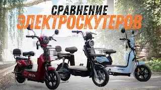 Какой электротранспорт выбрать? Сравнение электроскутеров AVM Delta,  Tsunami MODERN, Shtenli  Model