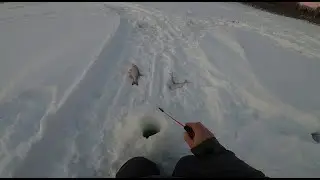 Рыбалка для души на ОЗЕРЕ!