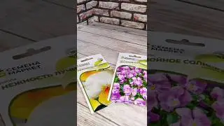 Посев виолы. 