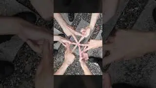 Human Kaleidoscope 👐🏻 