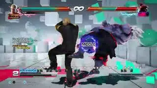 Oddly Specific Geese Howard combo 2