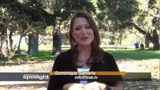 South Coast Spotlight #3