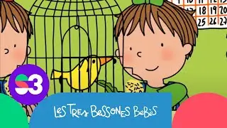 El canari de la classe - Les Tres Bessones Bebès