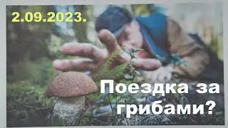 A trip to the forest....like picking mushrooms.09/2/2023. Thanks to our Trade Union!