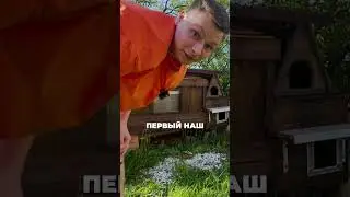 Кормим уличных котов☺️    RUTUBE - Durov TV
