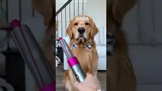 Who Keeps Giving Linda These Ideas?