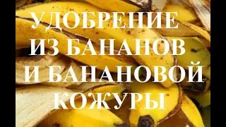 Удобрение из банановой кожуры и мякоти