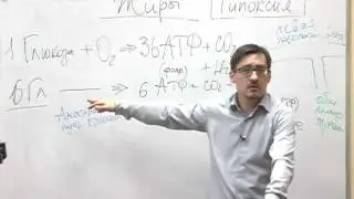 Синдром хронической усталости (СХУ): причины!