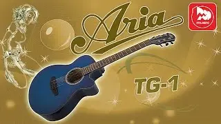 Акустическая гитара ARIA TG-1 (доступная мини джамбо гитара с вырезом)