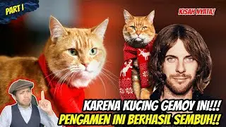 KISAH NYATA! GEMBEL JADI SULTAN SETELAH KETEMU KUCING OREN INI! | Alur Cerita A Street Cat Named Bob