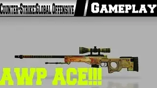 CS:GO-AWP Ace!