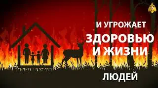 Пал травы