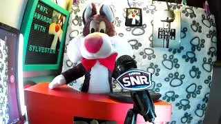 NFL Awards with Sylvester Watch party promo